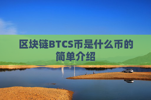 区块链BTCS币是什么币的简单介绍