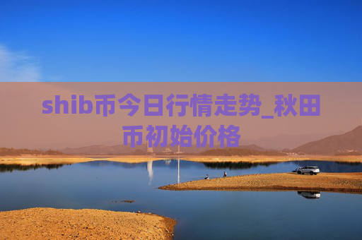 shib币今日行情走势_秋田币初始价格