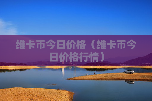 维卡币今日价格（维卡币今日价格行情）