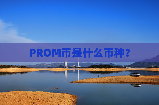 PROM币是什么币种？