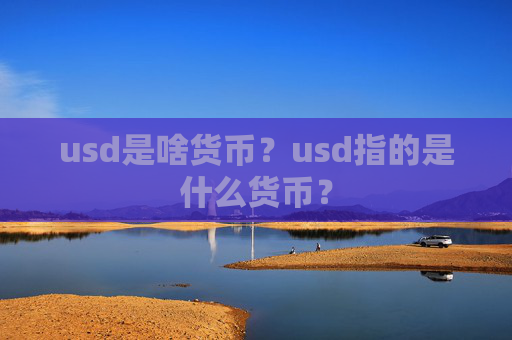 usd是啥货币？usd指的是什么货币？