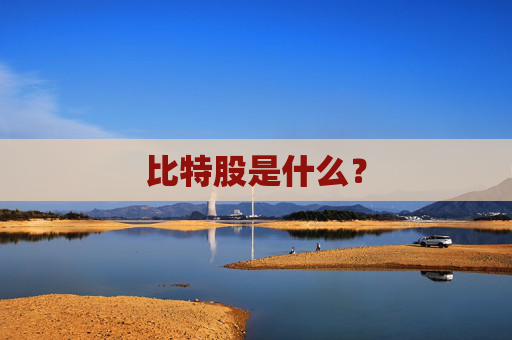 比特股是什么？