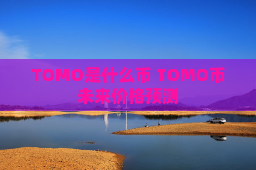 TOMO是什么币 TOMO币未来价格预测