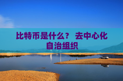 比特币是什么？ 去中心化自治组织