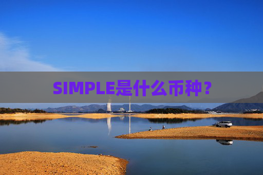 SIMPLE是什么币种？
