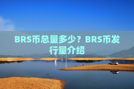 BRS币总量多少？BRS币发行量介绍