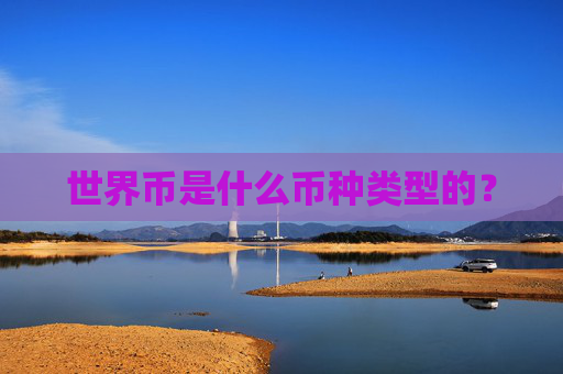 世界币是什么币种类型的?