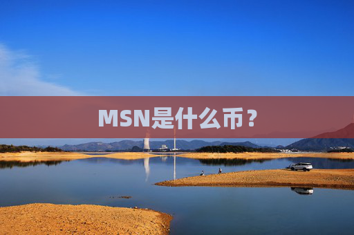 MSN是什么币？