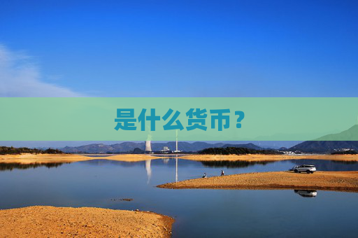 是什么货币？