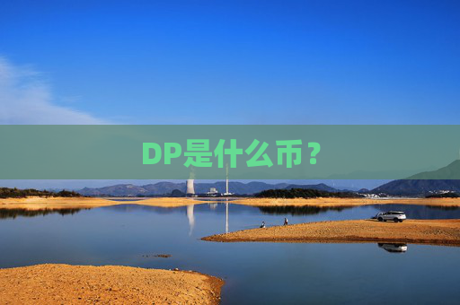 DP是什么币？