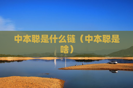 中本聪是什么链（中本聪是啥）