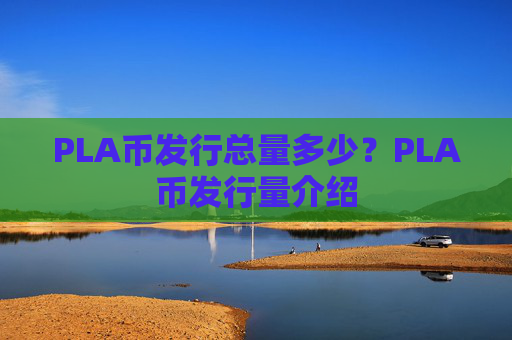 PLA币发行总量多少？PLA币发行量介绍