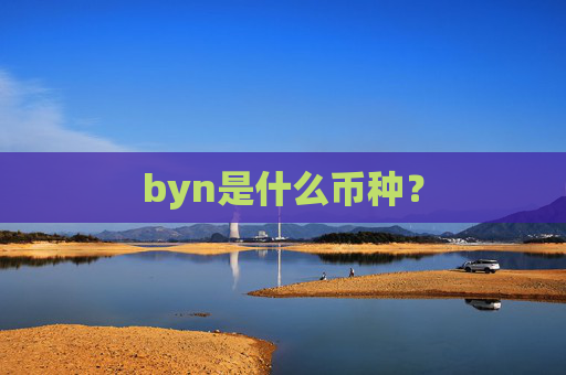 byn是什么币种？