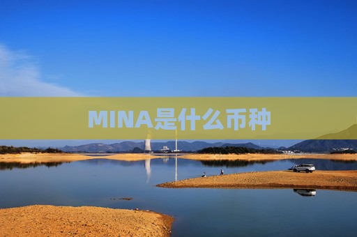 MINA是什么币种