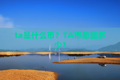 ta是什么币？TA币总量多少？