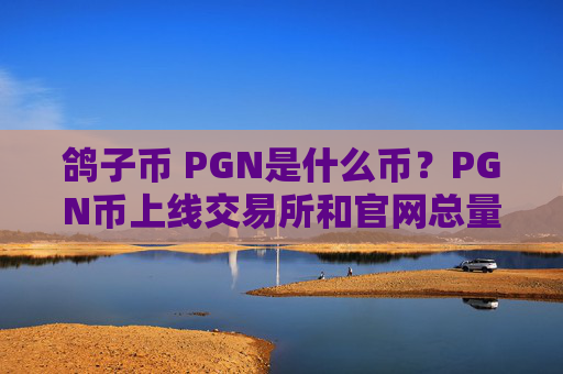 鸽子币 PGN是什么币？PGN币上线交易所和官网总量介绍