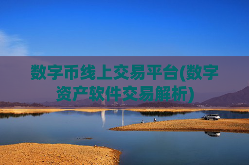 数字币线上交易平台(数字资产软件交易解析)