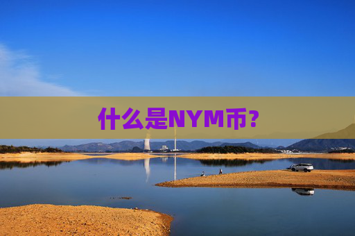 什么是NYM币?