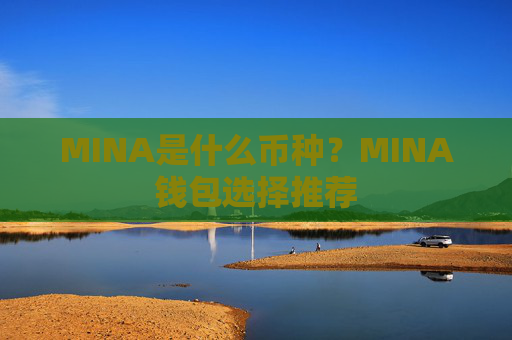 MINA是什么币种？MINA钱包选择推荐