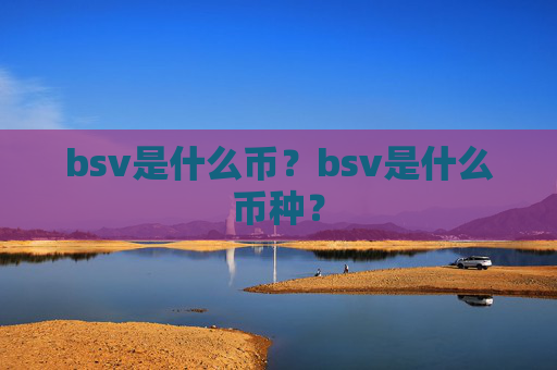 bsv是什么币？bsv是什么币种？
