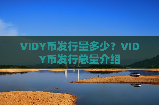 VIDY币发行量多少?VIDY币发行总量介绍