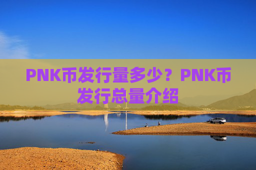PNK币发行量多少？PNK币发行总量介绍