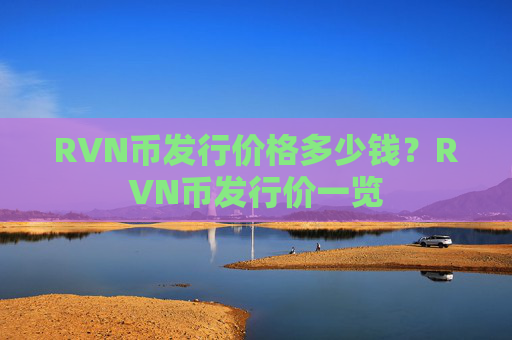 RVN币发行价格多少钱？RVN币发行价一览