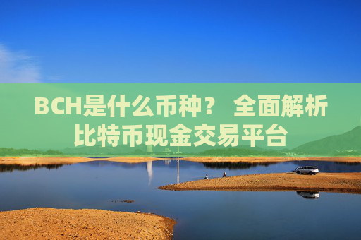 BCH是什么币种? 全面解析比特币现金交易平台