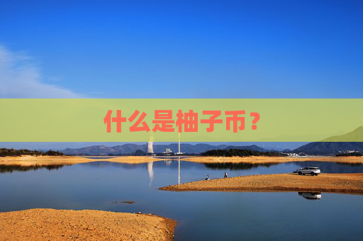 什么是柚子币?