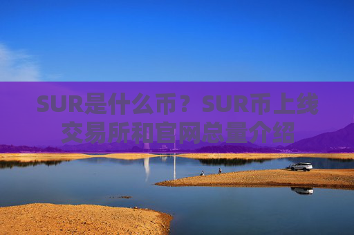 SUR是什么币？SUR币上线交易所和官网总量介绍