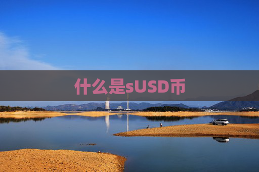 什么是sUSD币