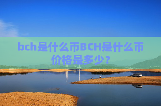 bch是什么币BCH是什么币价格是多少？