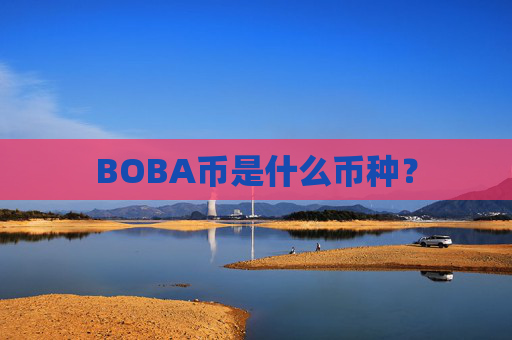 BOBA币是什么币种？