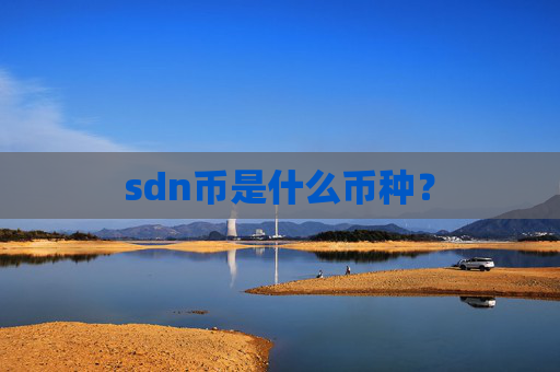 sdn币是什么币种?
