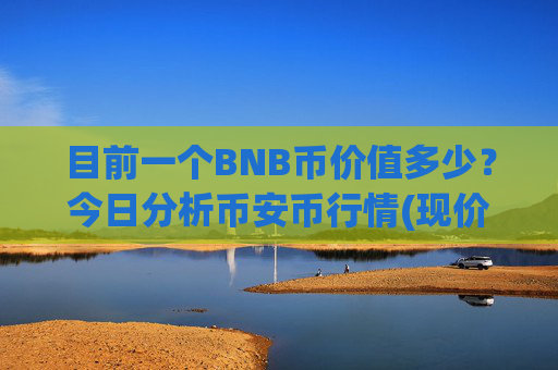 目前一个BNB币价值多少？今日分析币安币行情(现价4811.81元)