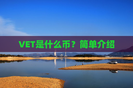 VET是什么币？简单介绍