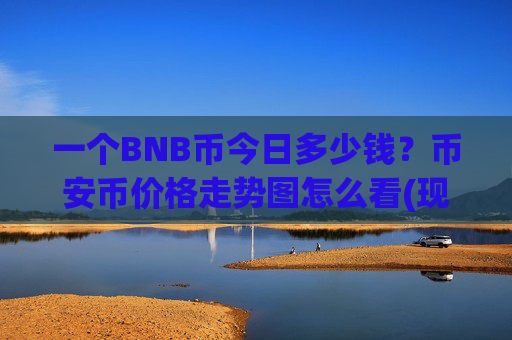 一个BNB币今日多少钱？币安币价格走势图怎么看(现价4891.55元)
