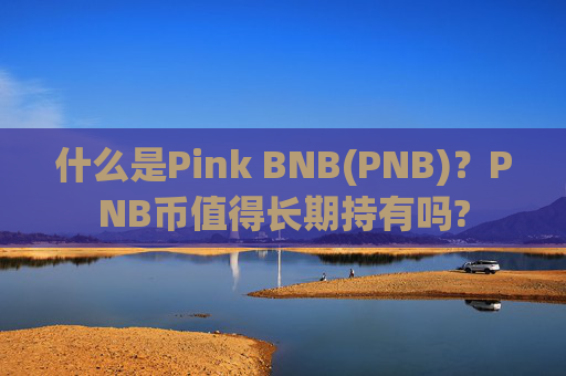 什么是Pink BNB(PNB)?PNB币值得长期持有吗?