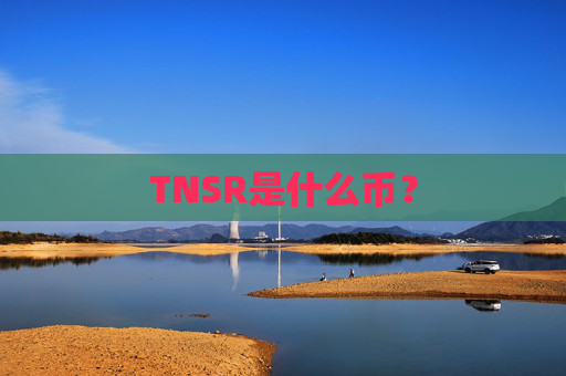 TNSR是什么币?