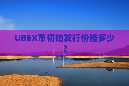 UBEX币初始发行价格多少?