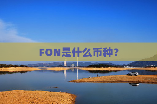 FON是什么币种？