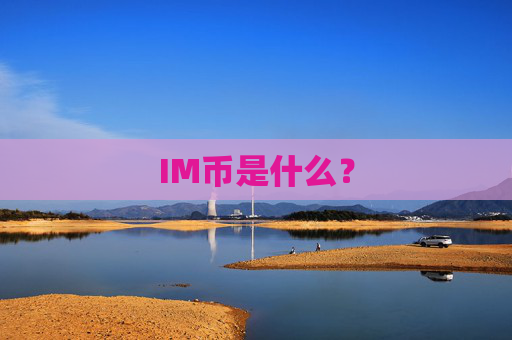 IM币是什么?