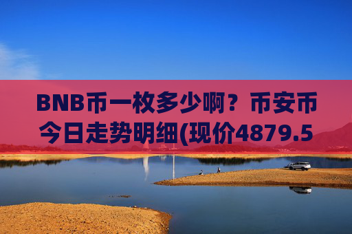BNB币一枚多少啊？币安币今日走势明细(现价4879.59元)