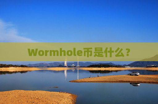 Wormhole币是什么?