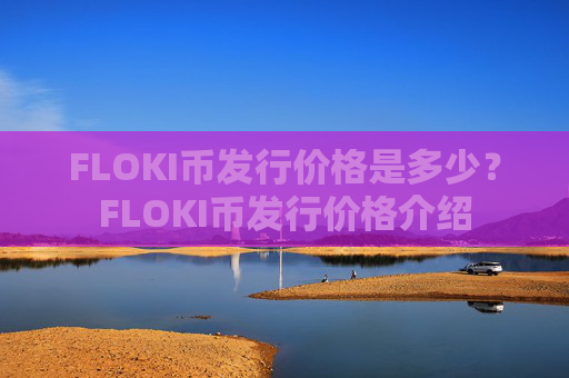 FLOKI币发行价格是多少？FLOKI币发行价格介绍