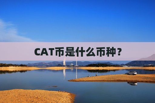 CAT币是什么币种?