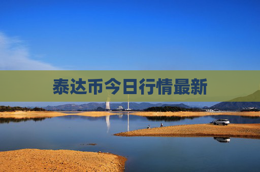泰达币今日行情最新