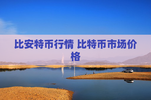 比安特币行情 比特币市场价格
