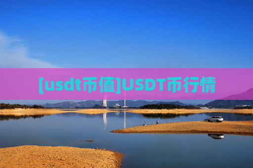 [usdt币值]USDT币行情