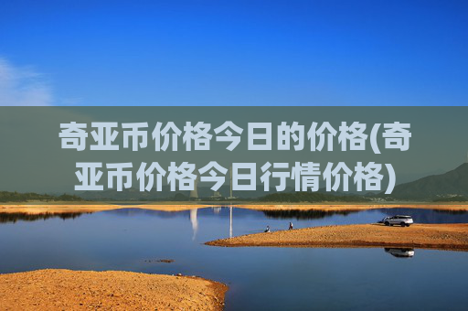 奇亚币价格今日的价格(奇亚币价格今日行情价格)